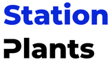 Station Plants